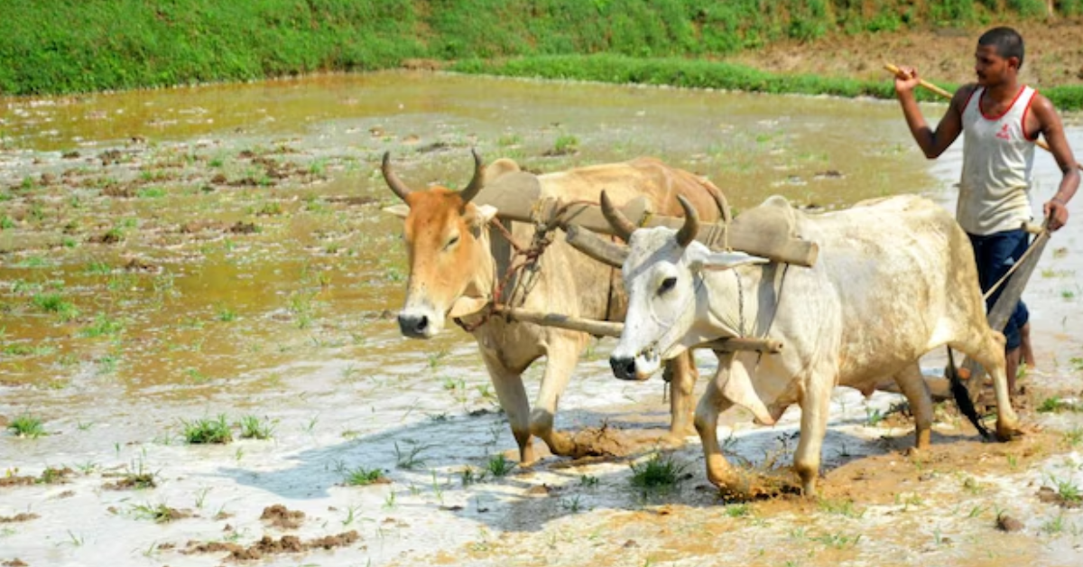 Kisan par kavita